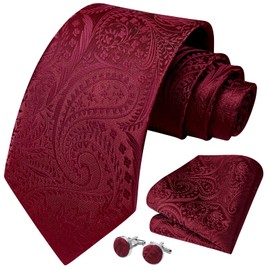 HISDERN Burgundy Tie Paisley Mens Ties and Pocket Square Cufflinks Set Classic Ties for Men Floral Red Necktie Formal Handkerchief Party Wedding