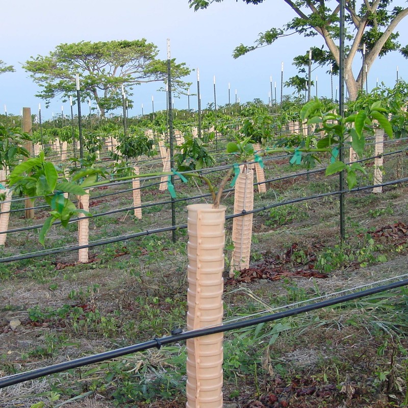 Kona Joe Gourmet Decaf Coffee Blend, Medium Roast Ground Coffee