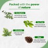 SacredEarth Natural Floor Wash Liquid, rich with Eucalyptus,Tea Tree, Citronella