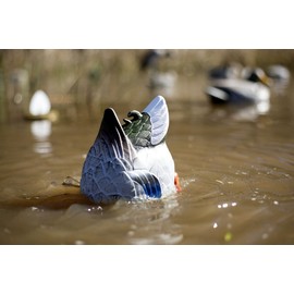 Mojo Outdoors Mojo Butt Up Rippler, Mallard