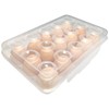 Egg Box for 15 Eggs, Egg Container, Egg Storage Fridge,