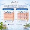 CICA & SEA GRAPE (Caulsidian Lentillifera) EXTRACTO Mascarilla