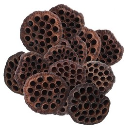 Donguihanjae 동의한재 특대 국산 연방 20송이 Korean Native Large Domestic 20 Flowered Chrysanthemum