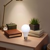 White Sight Secret Light Bulb, Safe Light Bulb Secret Compartment,