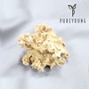 Flower Mushrooms 100g Snowflake Domestic / 꽃송이버섯 100g 눈꽃송이 국내산