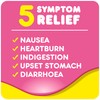Pepto-Bismol Chewable Tablets (12ct)