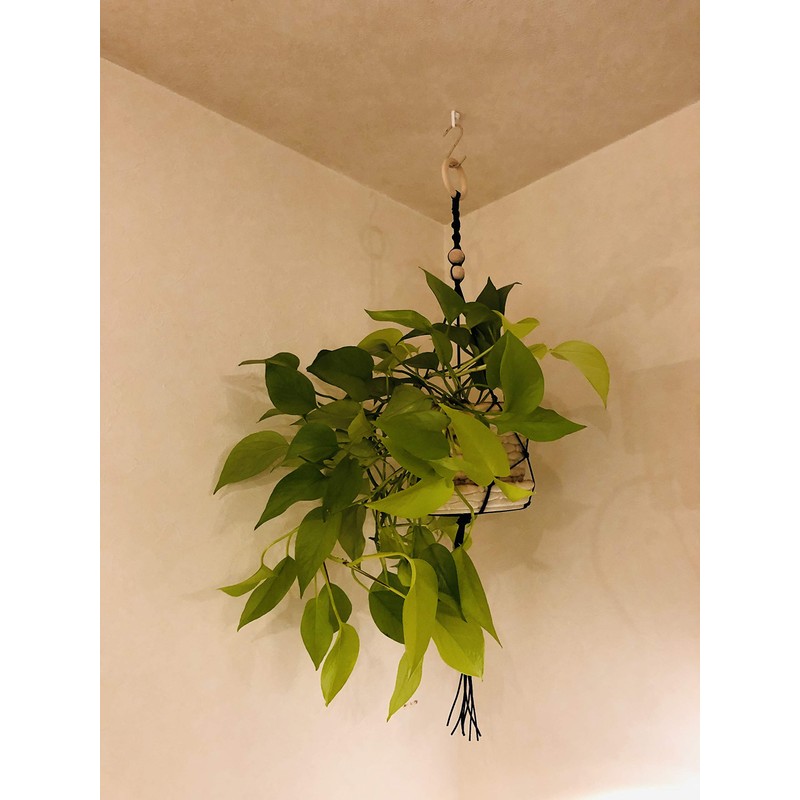 Fuji Boeki Magic Cross 8 J Hook, Semi Triangle