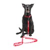 Dogline Red - Service Dog Nylon Leash Printed with Reflective