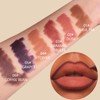 Velvety Brown 2-in-1 Lip Liner & Lipstick - Ombre Effect,