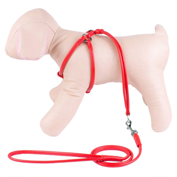 CollarDirect Rolled Leather Dog Harness Small Puppy Step-in Leash Set