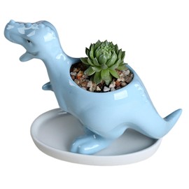 Eabdice Dinosaur Flower Pot, Dinosaur Succulent Pot, Dinosaur Ceramic Flower Pot, Suitable for Balconies, Gardens, Bookshelves, Flower Stand
