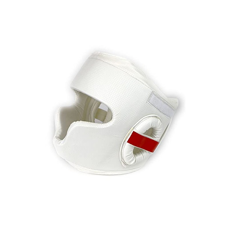 ISAMI Wide View Head Guard II TT-45 (M)