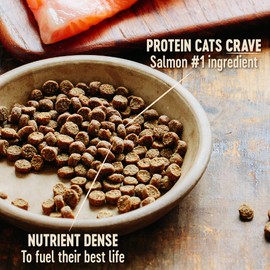 Wellness CORE Grain-Free Indoor Salmon & Herring Meal Recipe Dry Cat Food, 5 Pound Bag