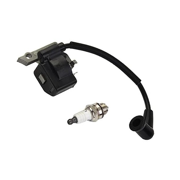 Taicols Ignition Coil Kit, Suitable for FS38 FS45 FS55 FC55