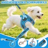 Dog Harness Small Dogs with Lead, Adjustable Step-In Puppy Harness,