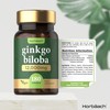 Ginkgo Biloba 12000mg | 180 Vegan Tablets | High Strength