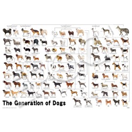 EPOCH 1000 Piece Jigsaw Puzzle Animal/Pet Dog Dog Genealogy (50 x 75 cm) 12-625s With Glue Spatula Included Tickets