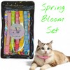 Spring Bloom Cat Collar Set – Cute Kitten Collars with