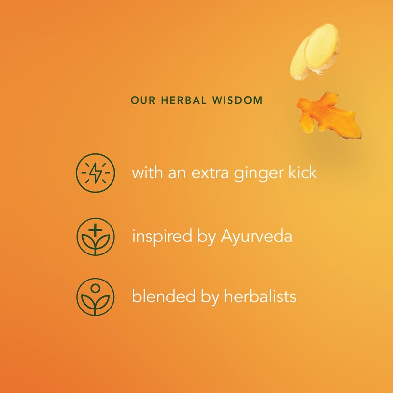 Pukka Three Ginger Organic Herbal Tea, Digestion-Aiding Infusion With Ginger,