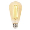 Westinghouse 5317800 6.5 Watt (60 Watt Equivalent) ST20 Dimmable Amber Filament LED Light Bulb, Medium Base