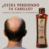 Arbol Verde Kit 2 Anti-Fall Shampoo 500 ml and 3