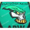 Ireland Irish Army Ranger Wing ARW Fianoglach Patch (Iron-on)