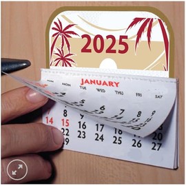 Mini Stick-on Calendar - Set of 2 Peel and Stick Calendars, Car Calendar, Small Wall Calendar, 2025 Monthly Calendar for Auto Truck Laptop Fridge Home Office