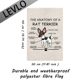 Rat Terrier Lovers Gift The Anatomy of A Rat Terrier Garden Flag Rat Terrier Veterinary Mom Housewarming Yard Flag (Rat Terrier)