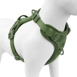 Sunraymascota No Pull Dog Harness, Puppy Vest with Front Clip for Small Medium Large Sized Dog (Misty Green,XL)