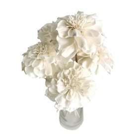 5 Magnolia Lilliflora 3" Sola Flower Reed Diffuser for Home Fragrance by Plawanature