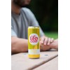 Life Cider | 12 Pack (12 Fl Oz) | Mango