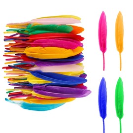 Thyonta 50 PCS Colorful Feathers - Craft Feathers for Crafts丨Natural Goose Feathers for DIY Dream Catcher Carnival 18-20cm