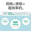 SAURUS(サウルス)　HMB　クレアチン　L-カルニチン　配合　マラソン トライアスロン　トレラン　ロードバイク　国産