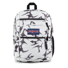 JanSport Laptop Backpack - Computer Bag with 2 Compartments, Ergonomic Shoulder Straps, 15” Laptop Sleeve, Haul Handle - Cyber Silver White