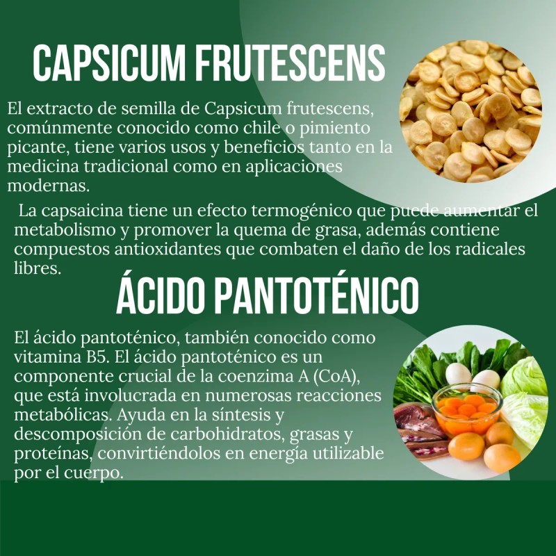 Suplemento Reductivo Redugrass Mesocaps 90 Cápsulas Sin Sabor