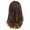 Dsimeig Long Layered Brown Wigs for Men Synthetic Heat Resistant