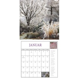 Dumont Joy in the Garden 2025 Brochure Calendar 2025, 30 x 30 cm, Wall Calendar with Informative and Poetic Garden Texts, with School Holidays and Year Overview 2026