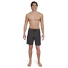 Quiksilver Men's Standard Swimwear Regular Fit Fixed Waist UPF 50