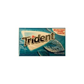 Mondelez Global Trident Wintergreen, 14 ct