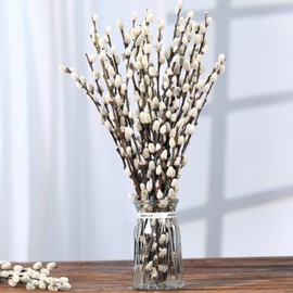 Natural Preserved Dried PussyWillow Branches for Vases, 30 Stems Real Willows, 17" Snow Pussywillows, Dried Flowers for Indoor and Outdoor Decor, Wedding Home DIY Floral Art Plants Fireplace