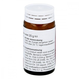 Berberis/Prostate Comp.Globules 20 g