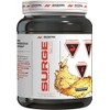 ANS Advanced Nutrition Systems Advanced Nutrition | SURGE 2.0 -