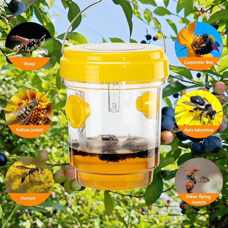 3 Pack Wasp Traps Outdoor Hanging