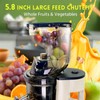 Cold Press Juicer Machines Slow Masticating High Yield Multi-Functional for
