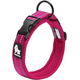 Creation Core Reflective Mesh Padded Dog Collar Adjustable Nylon Outdoor Adventure Pet Collar