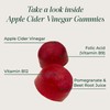 Primal Harvest 2 Pack, ACV Gummies, Sugar Free Apple Cider