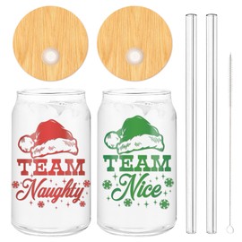 2 Pack Christmas Iced Coffee Cup Team Naughty or Nice Beer Can Glass Red Green Xmas Glass Cup with Lid Straw for Home Office Gifts,16oz