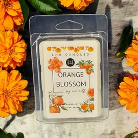 3 PACK Orange Blossom Wax Melt Made In USA Fragrance Melts Tarts Luxury Premium Soy 3 2.4 ox Clean Ingredients Essential Oils Hand Poured Cubes Long Lasting Strong Scent Citrus