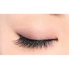 D-UP Eyelash RICH 809 False Eyelashes, Black, 2 Pairs