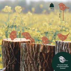 VERDOBA Vögel Gartendeko Rost - Gartenstecker Rost Vögel - Gartendeko Vogel aus Eisen (Silber) - Deko Garten Rost - Rostdeko Gartendeko - Rost Deko für Garten, Balkon & Terrasse